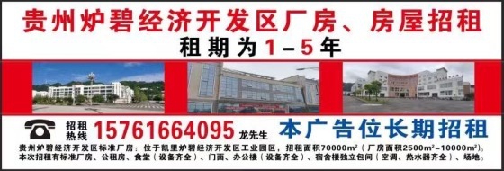 炉碧恒源鸿源鸿福公司厂房、房屋招租信息公告