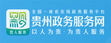 贵州政务服务网